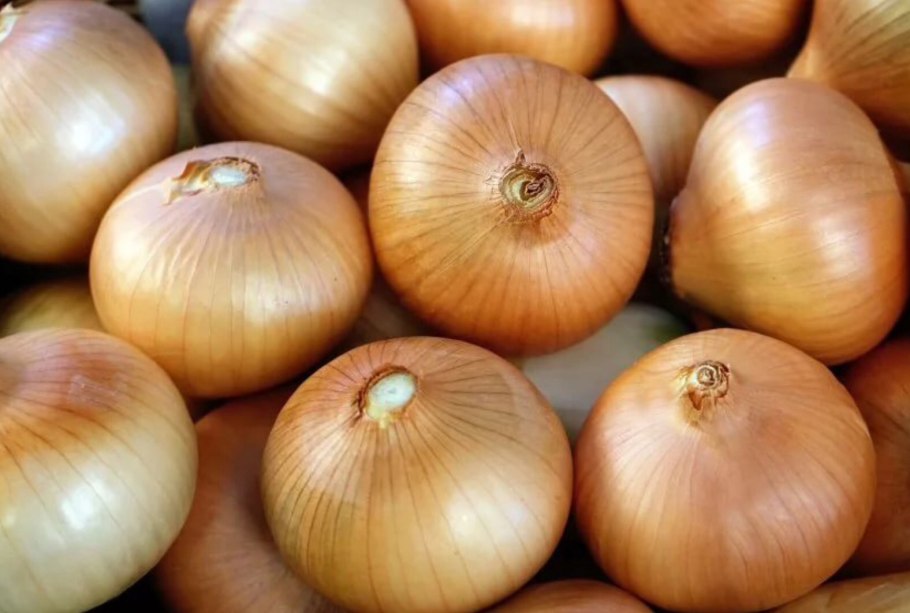 Бессоновский сорт лука Бессоновский