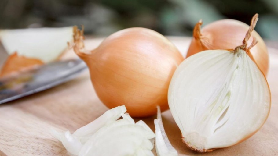 Лук репчатый лечебный