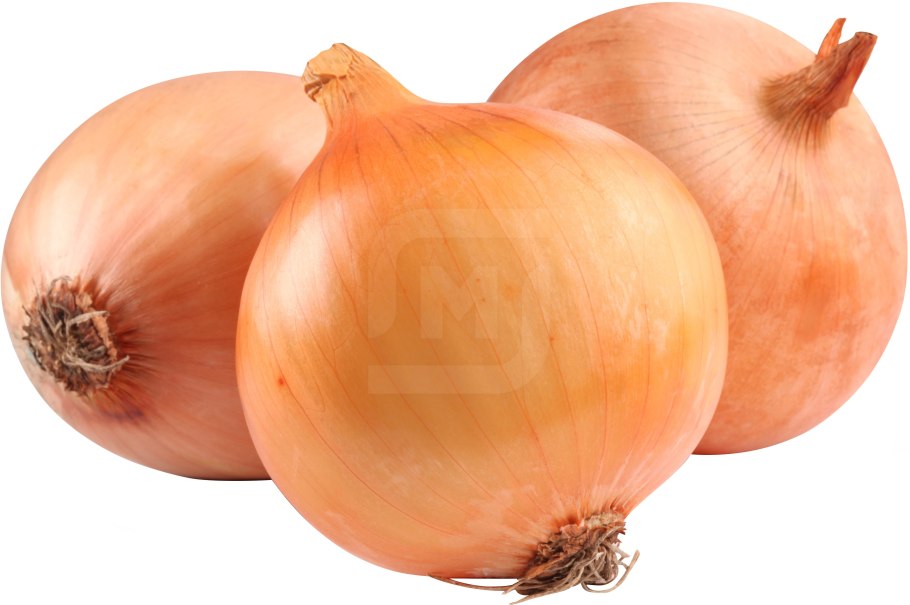 Лук репчатый на белом фоне