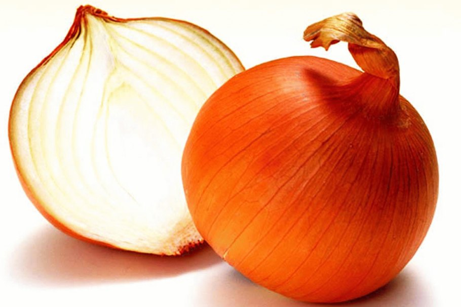 Лук репчатый