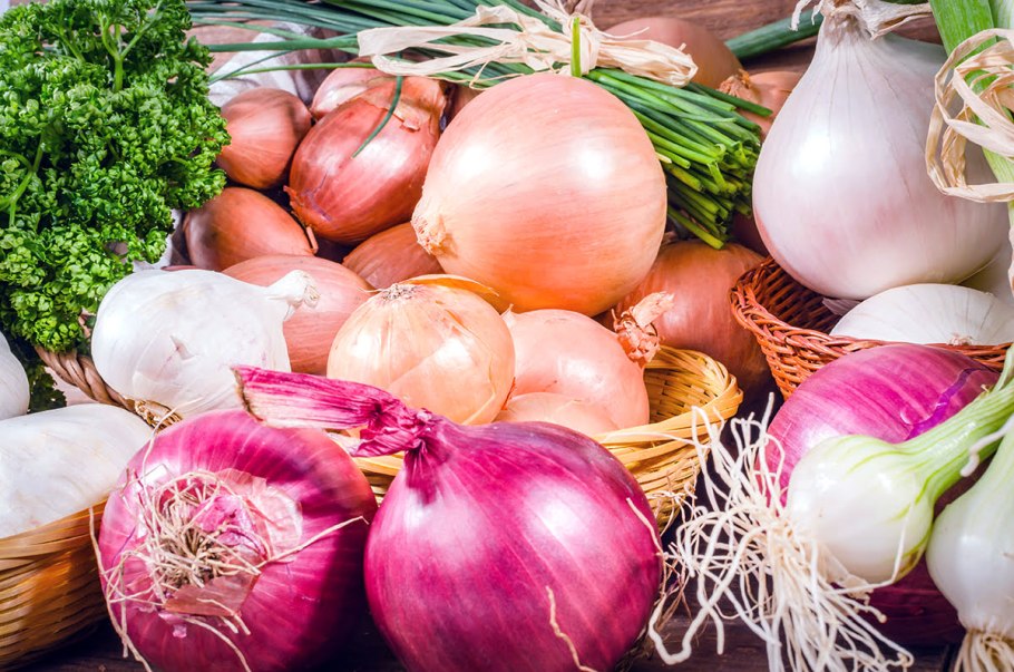Луковые овощи
