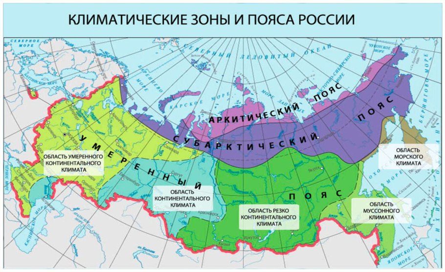 Хвойно-широколиственный лес