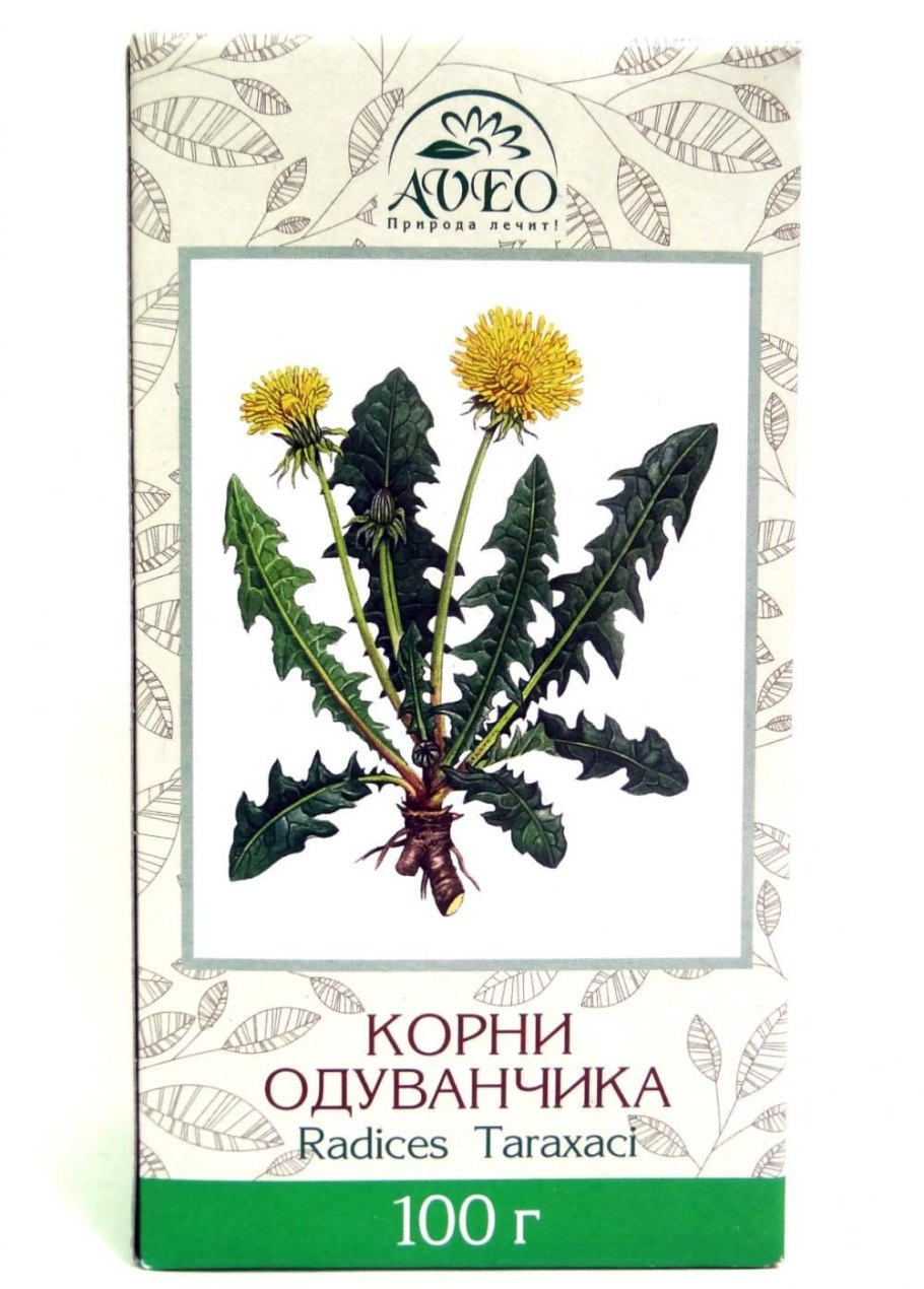 Корень одуванчика