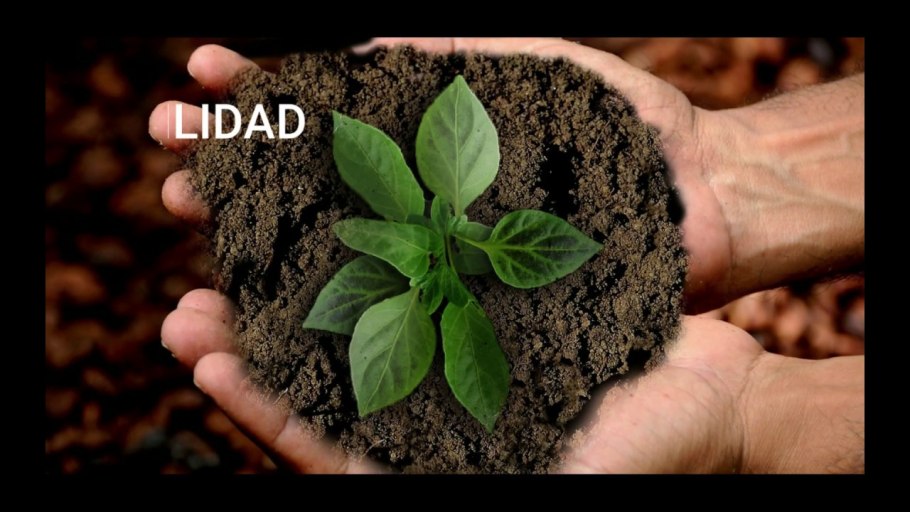 Суглинок Лессовый грунт