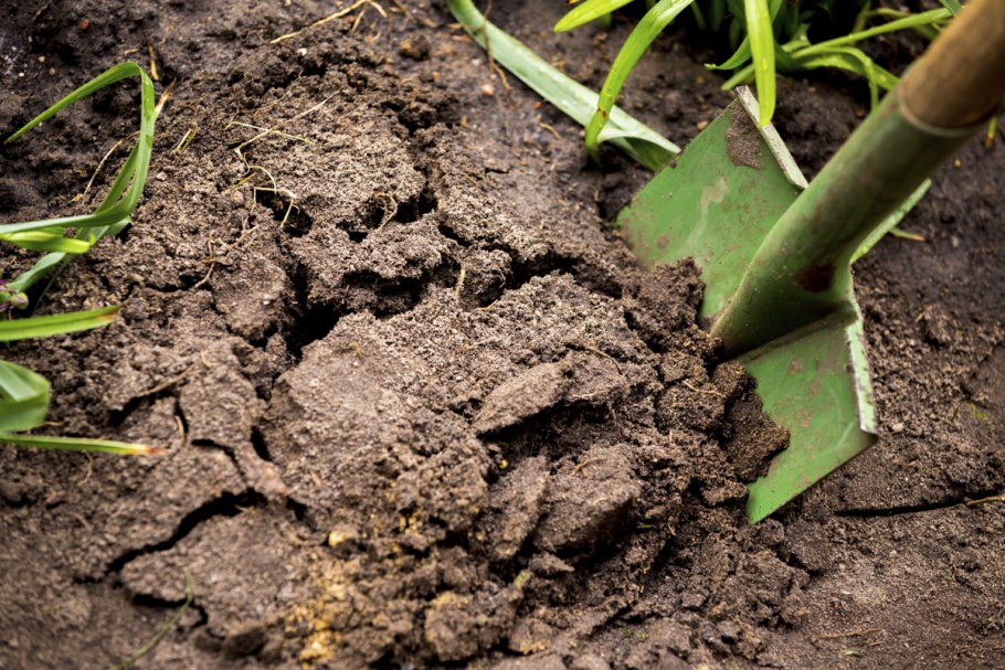 Грунт растительный