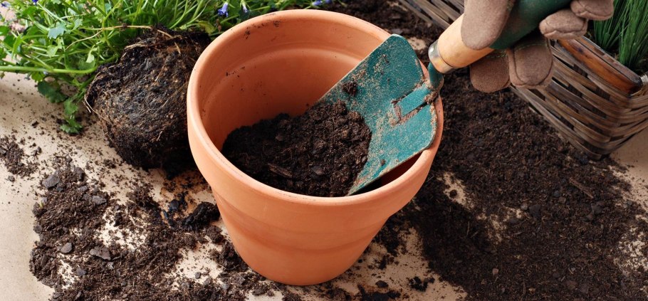 Чернозем для посадки газона