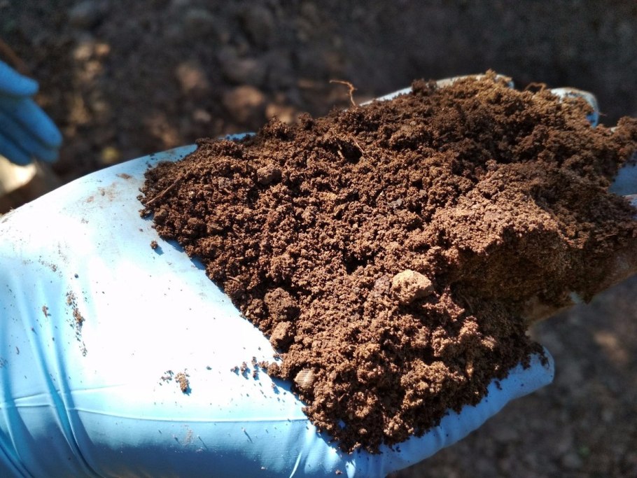 Схема посадки водных растений