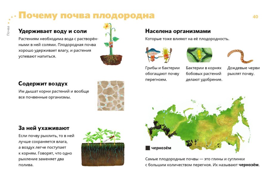 Почему почва плодородна