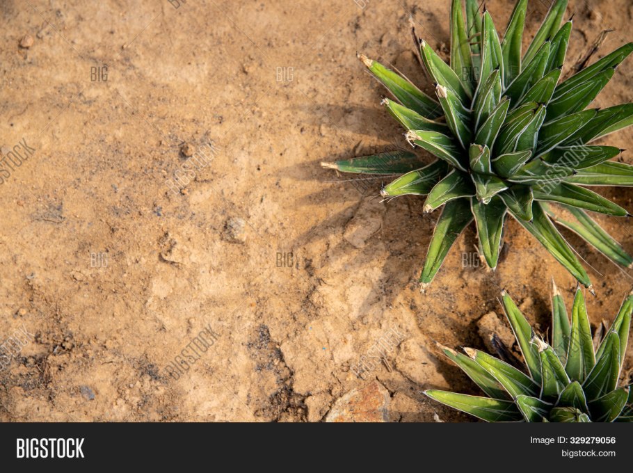 Навоз, торф, перегной