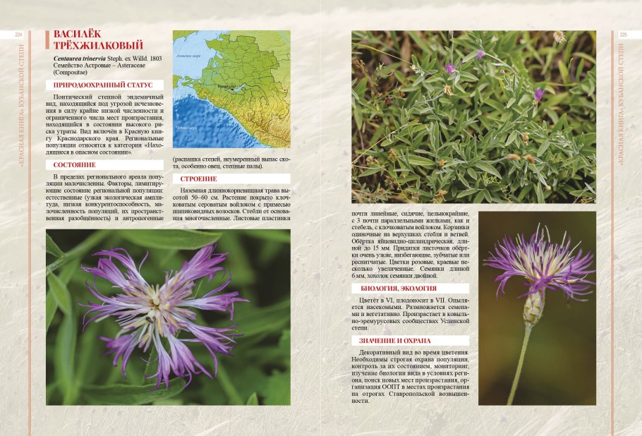 Красная книга Кубанской степи Литвинская с.а