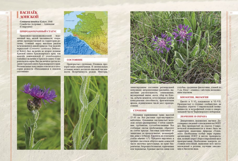 Степные растения Кубани