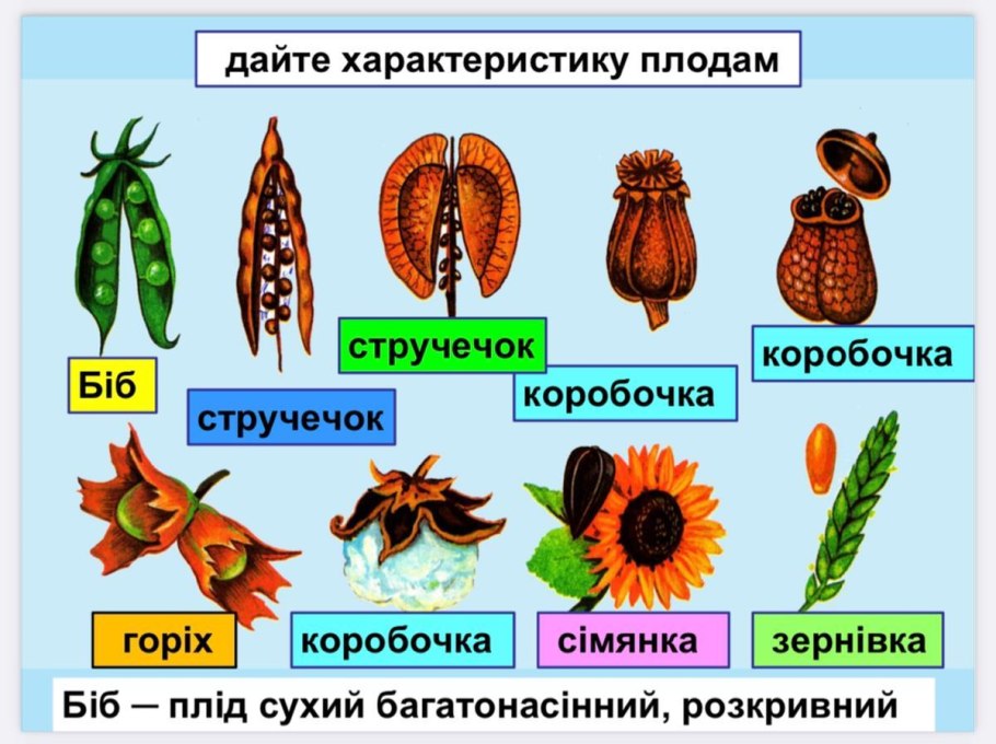 Метод гаплоидов в селекции