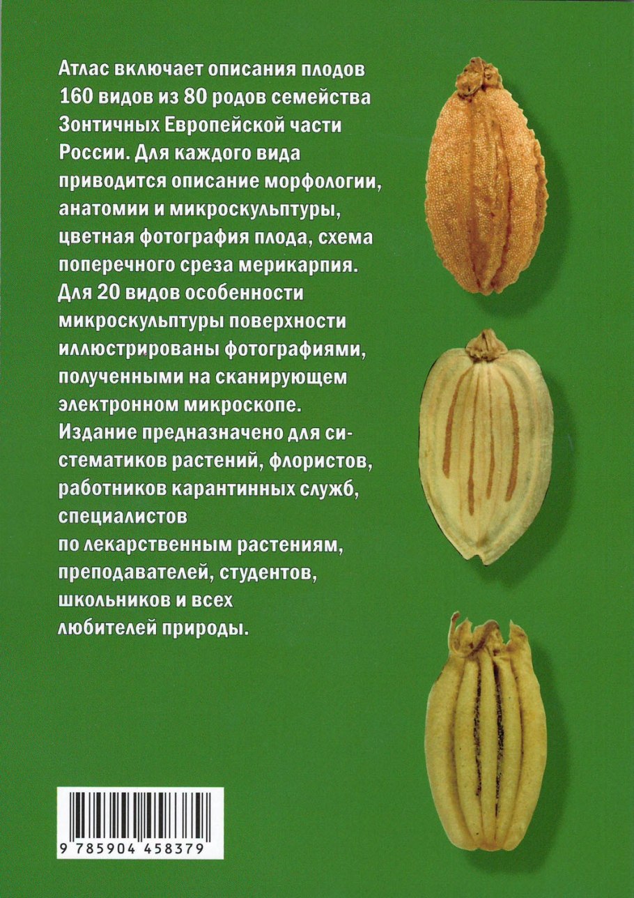 Колос тритикале схема