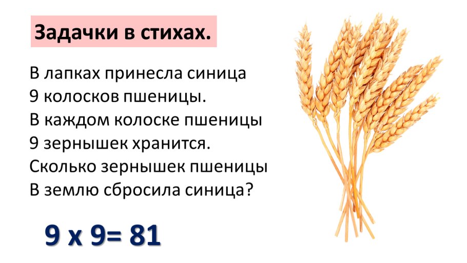 Эндосперм семядоли зародыш