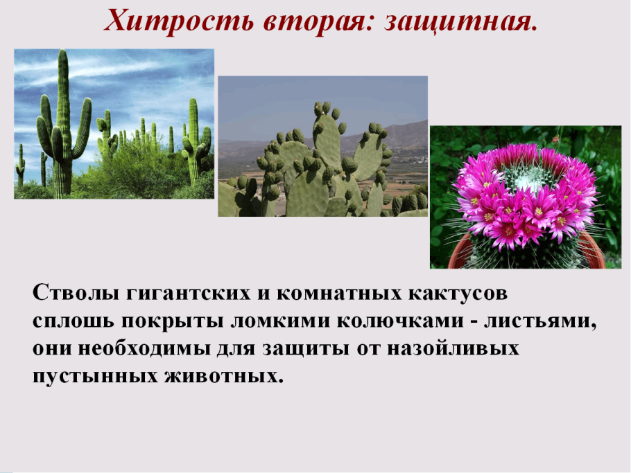 Организмы обитающие в воде