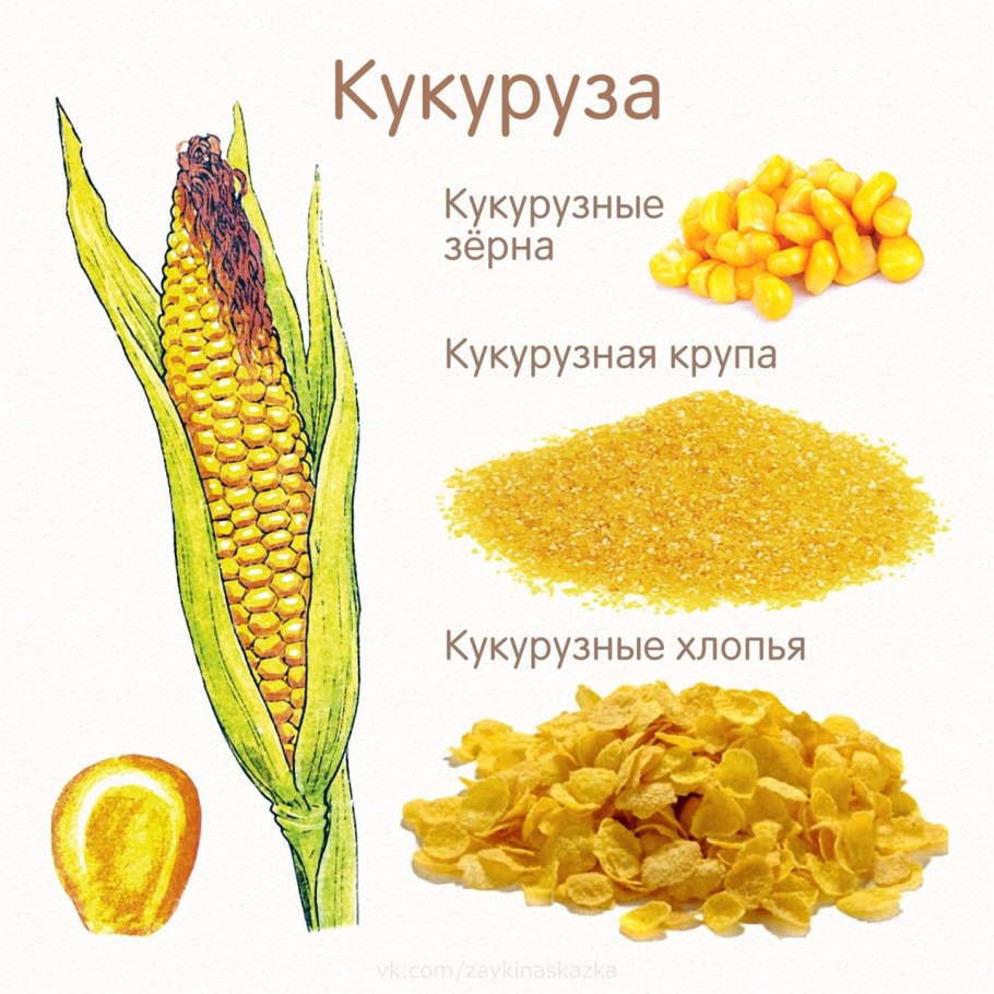 Злаки для детей