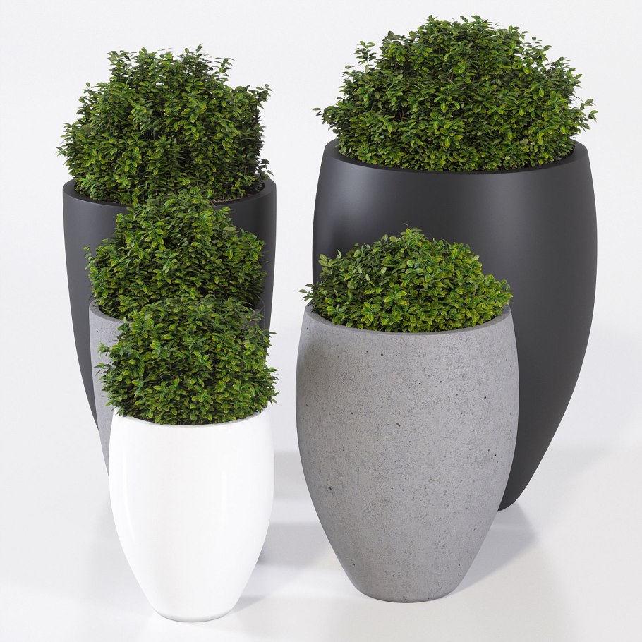 Кашпо Bond Pottery Pots 2020