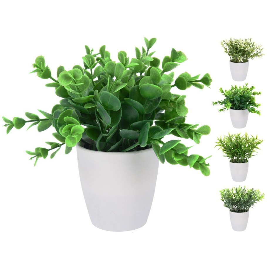 Цветы в горшках