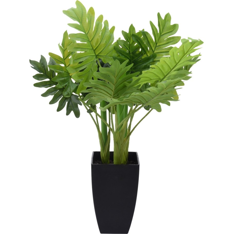 Растение в горшке