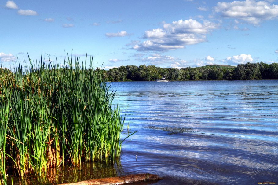 Камыш-Самарские озёра