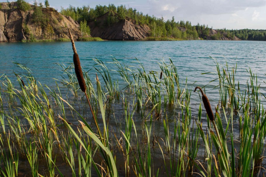 Камыш-Самарские озёра