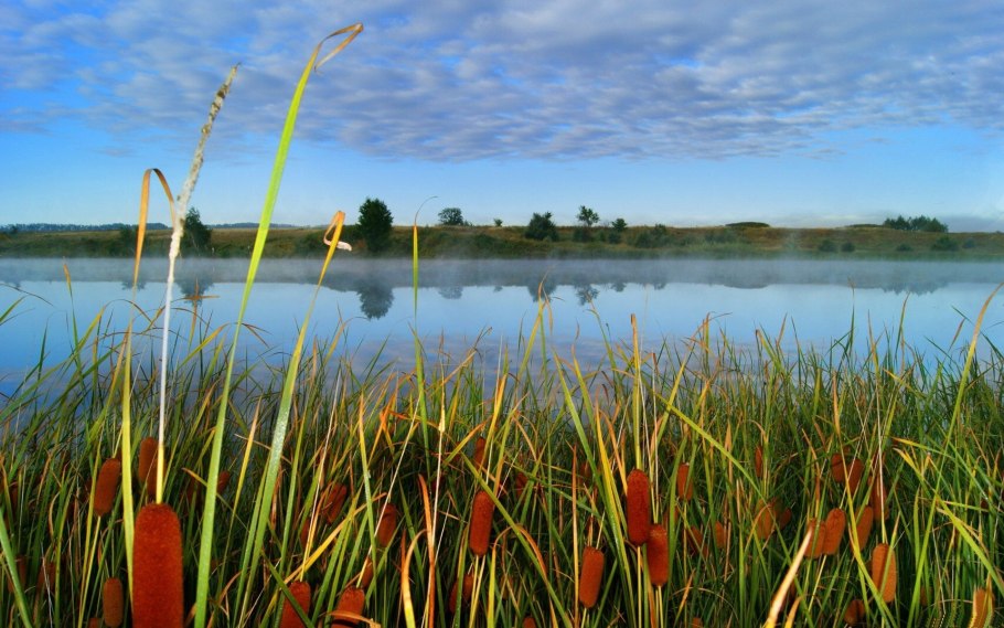 Река Тростня