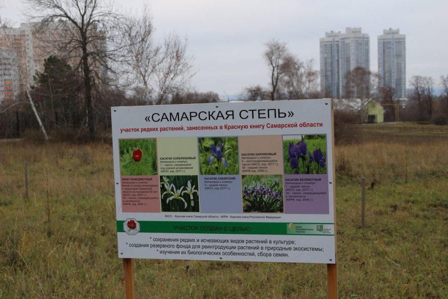 Визитка ботанического сада