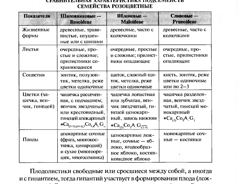 Основные признаки семейства Розоцветные