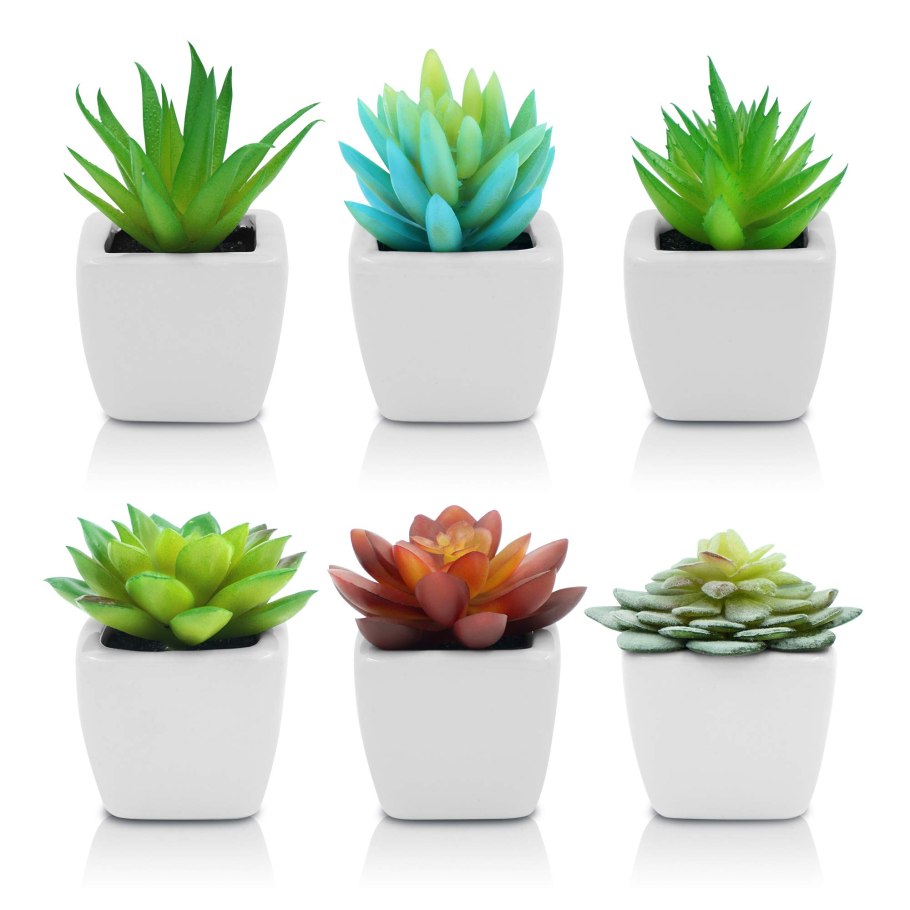 Горшок для суккулентов