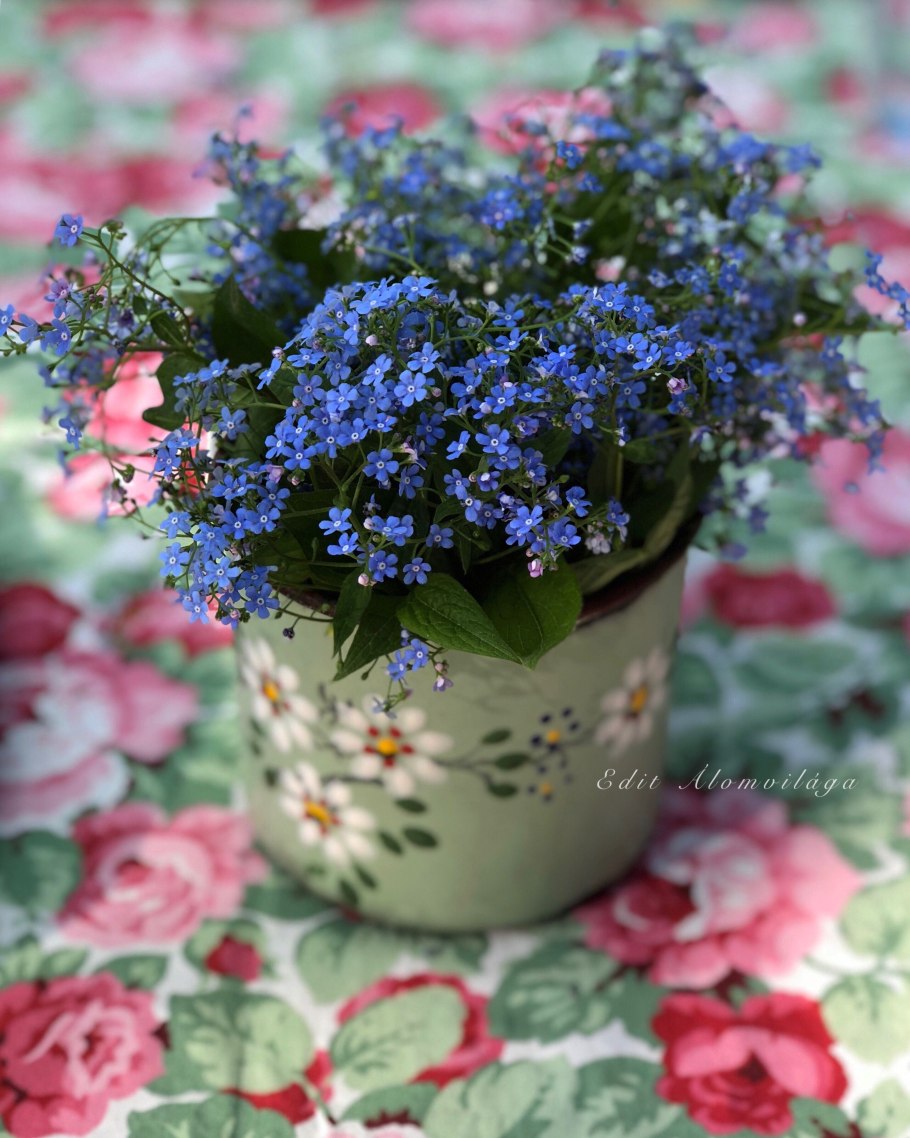 Маленькие цветочки в горшках