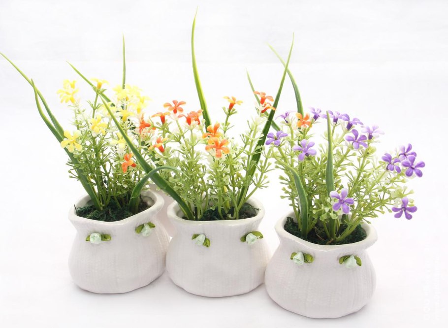 Мелкие цветочки в горшке