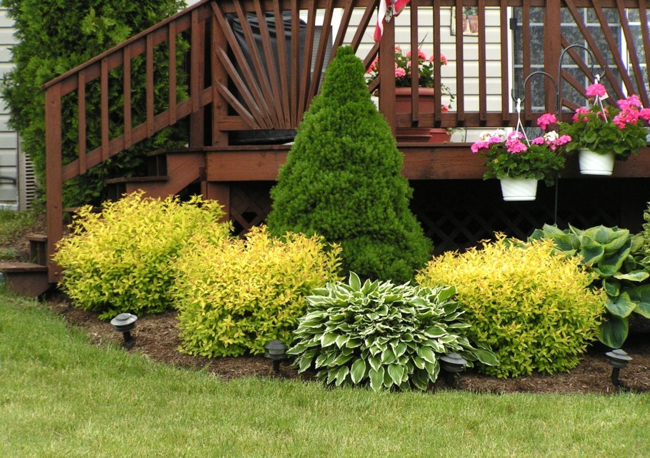 Адриана Чечик Gabriella Paltrova