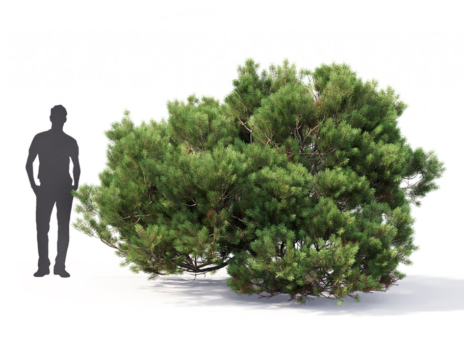 Набор ножей Joseph Joseph Elevate Knives