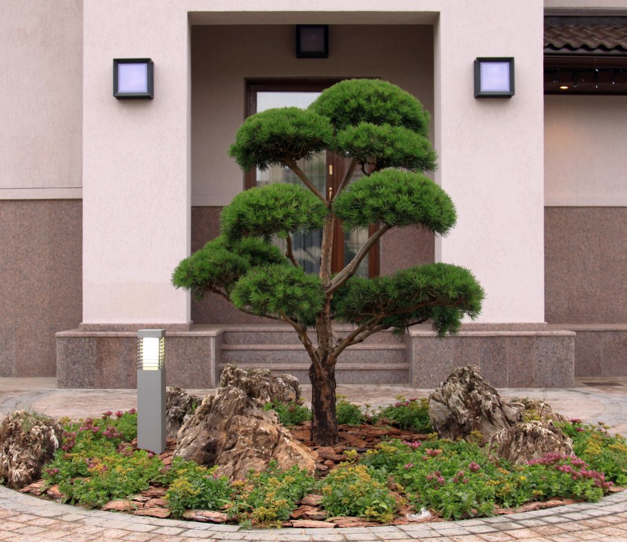 Какёин и Польнарефф