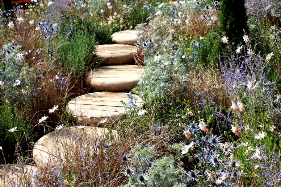 Синеголовник Блю джекпот