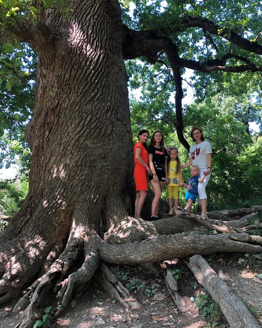 Дуб великан в Краснодаре парк Горького