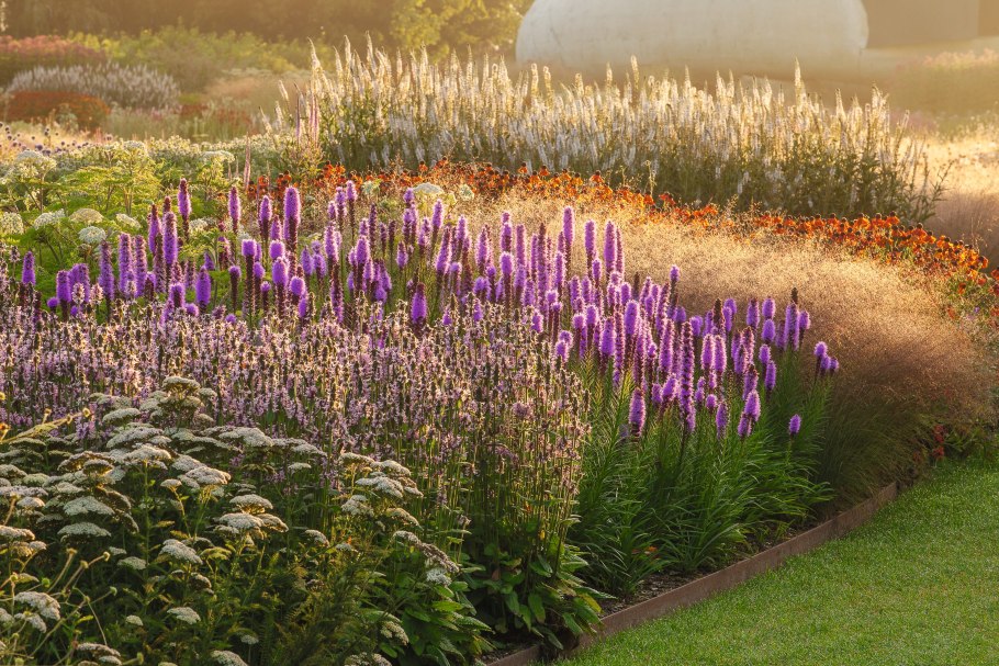 Цветники пита Удольфа