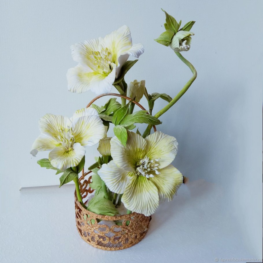 Морозник листья