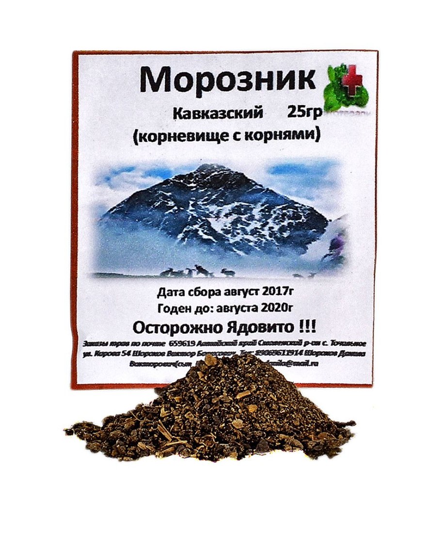 Трава кавказский морозник кавказский