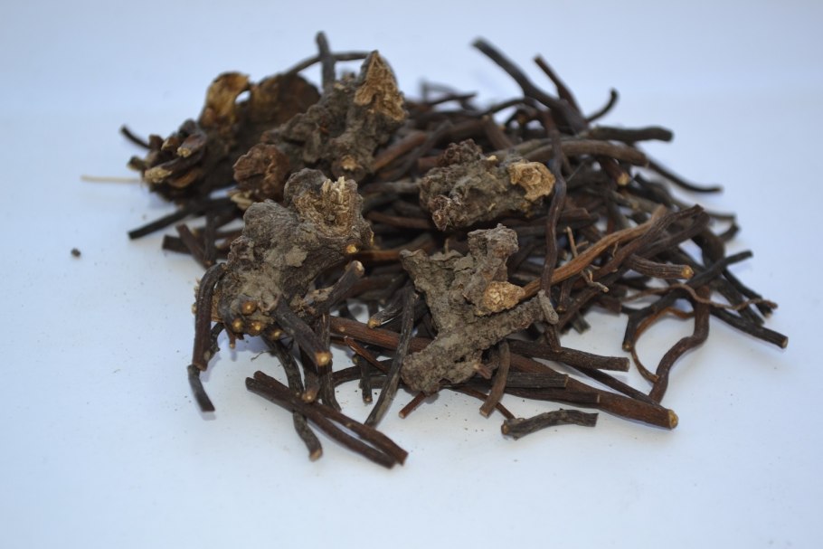 Морозник рассада