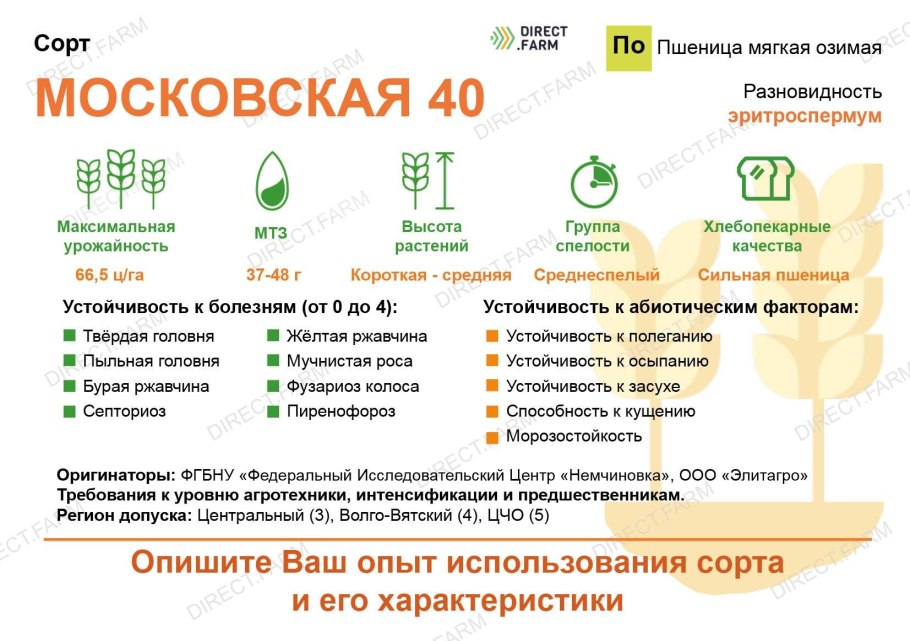 Омская 36 сорт пшеница