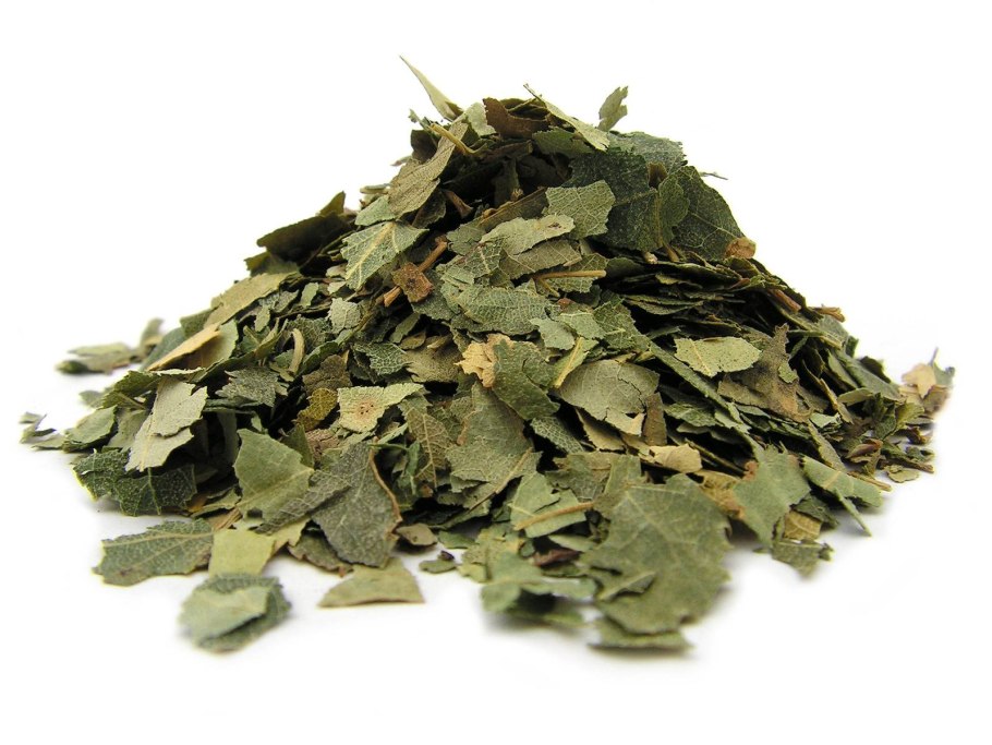 Береза повислая листья сырье