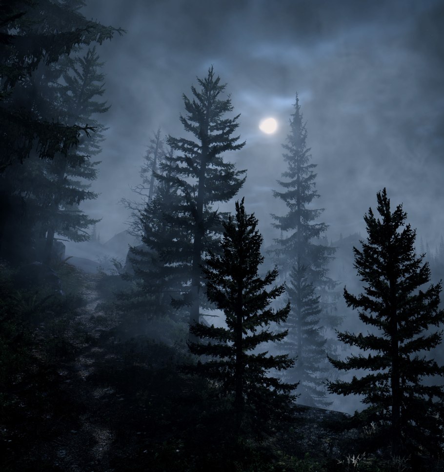 Мрачный еловый лес