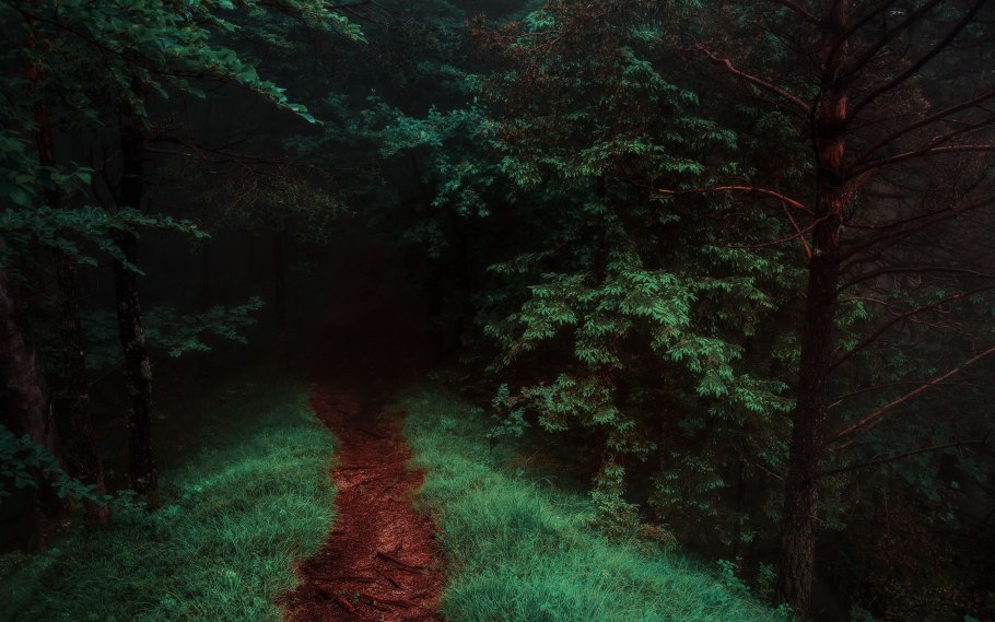 Темный лес