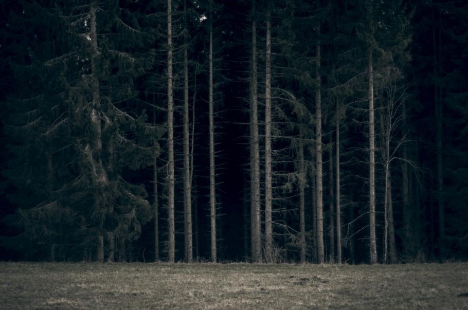 Темный лес