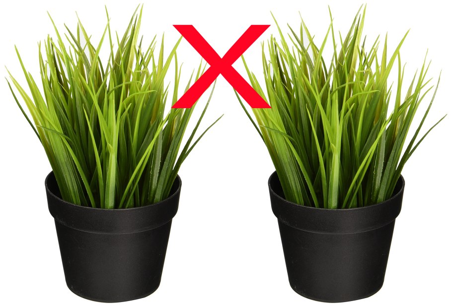 Зелень в горшке