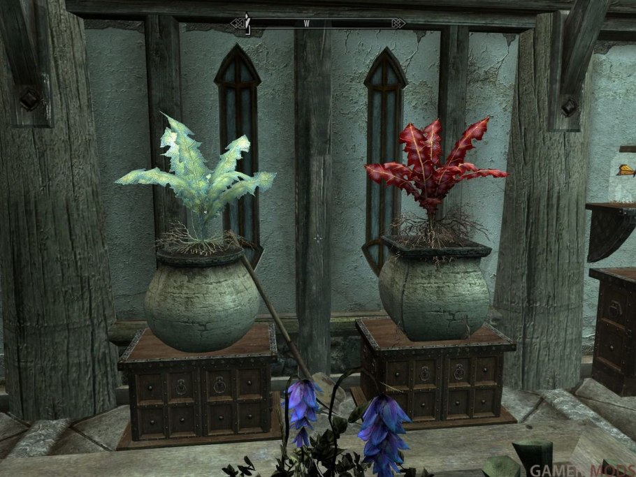 Скайрим растения