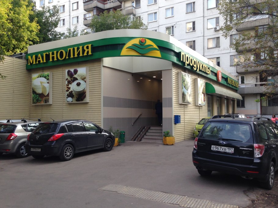 Магнолия Суланжа Александрина