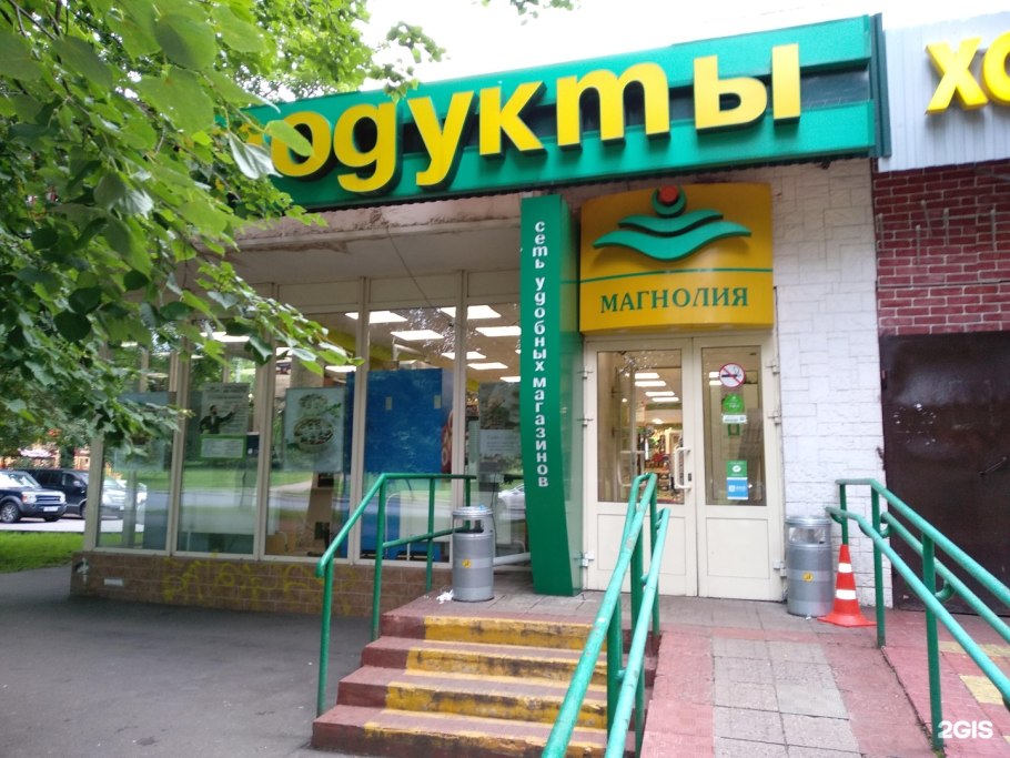 Magnolia liliiflora Japan