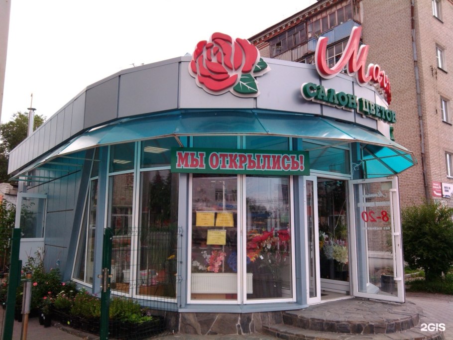 Панова 50 Магнолия